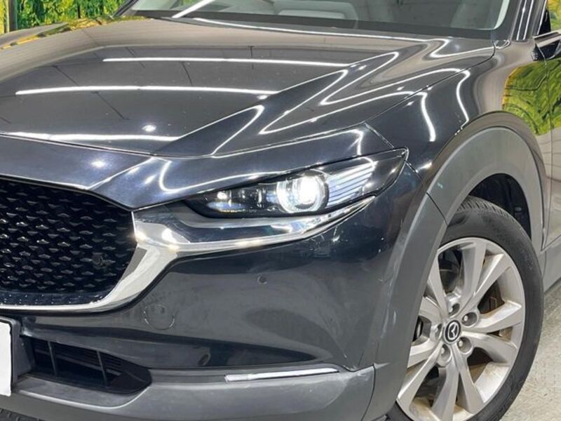 CX-30