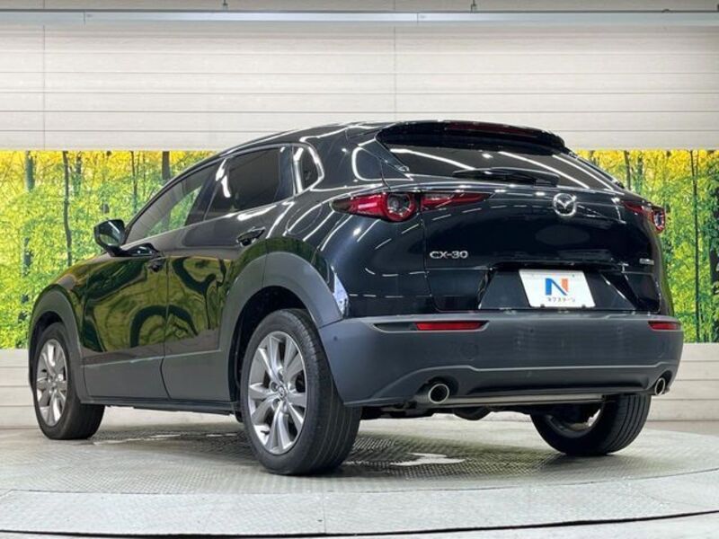 CX-30
