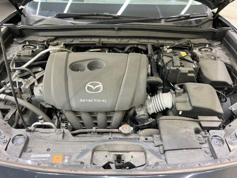 CX-30