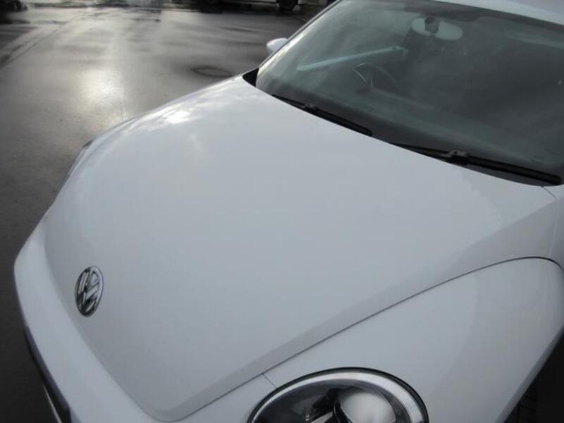 THE BEETLE
