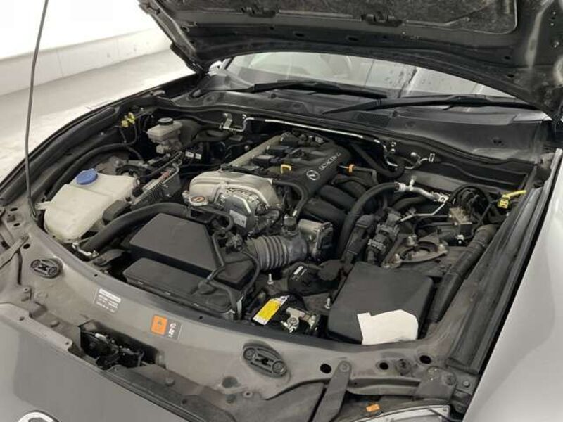 ROADSTER RF