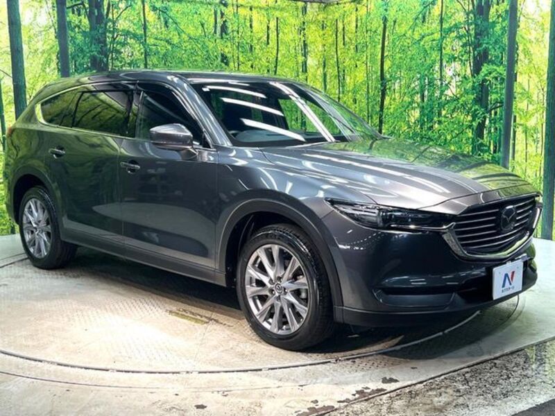 CX-8