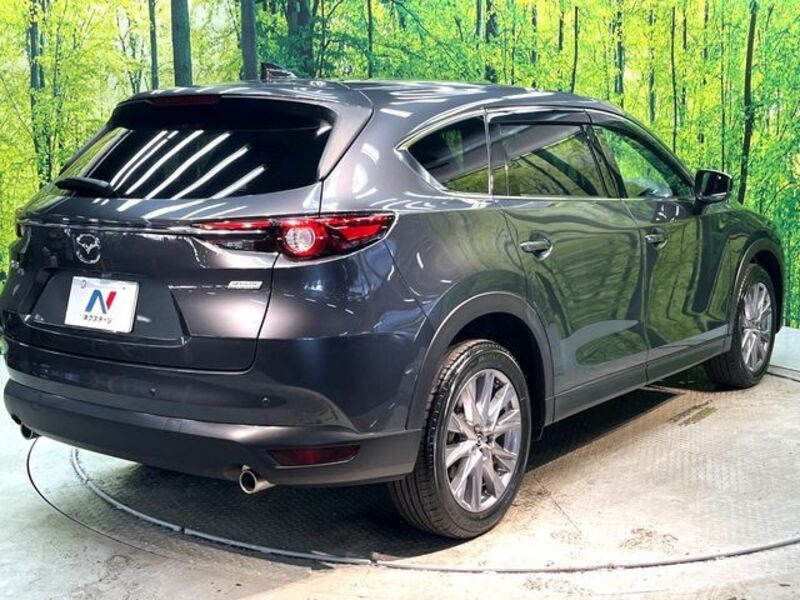 CX-8