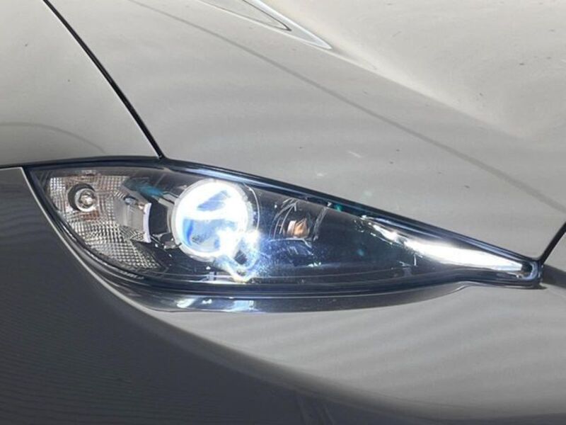 ROADSTER RF