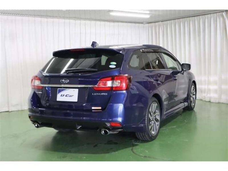 LEVORG