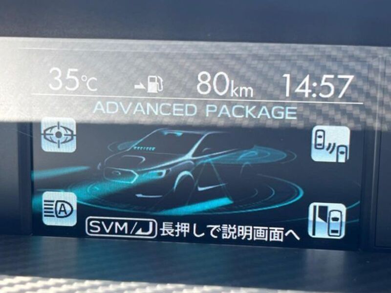 LEVORG