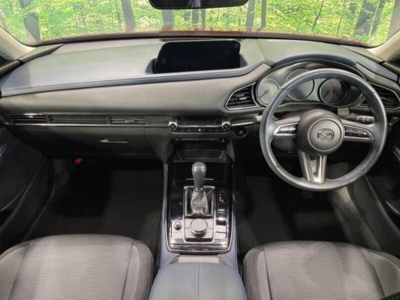 CX-30