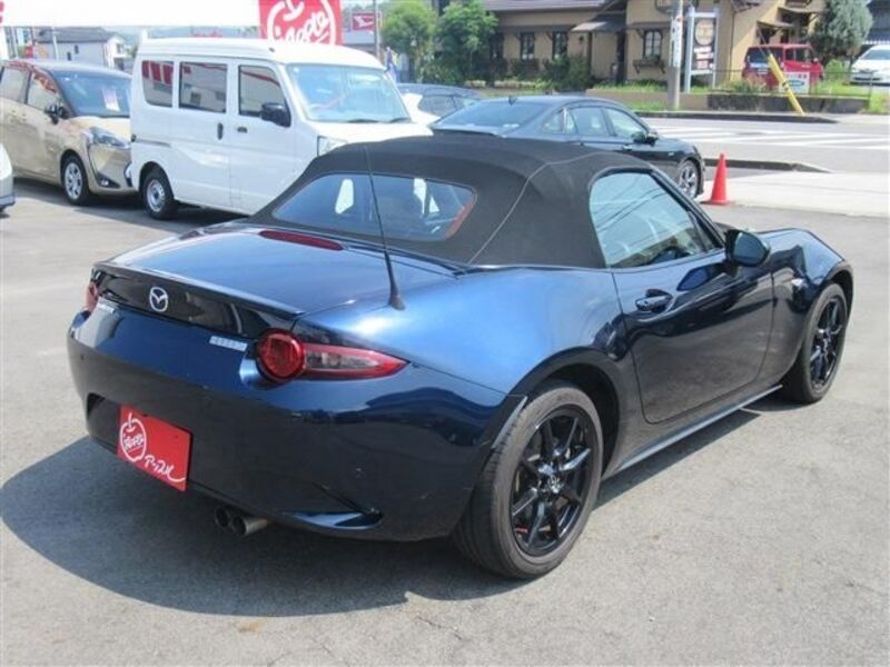ROADSTER