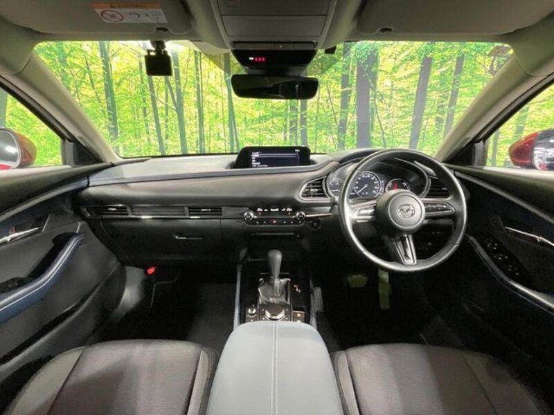 CX-30