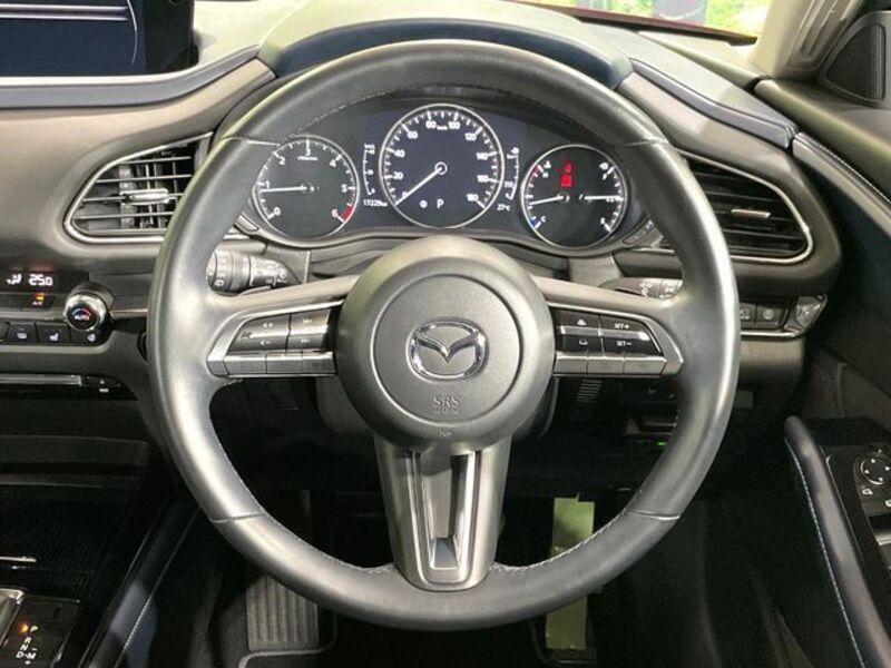 CX-30