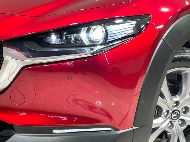 CX-30