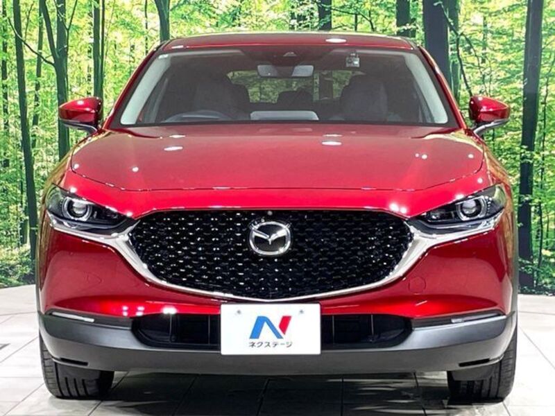 CX-30