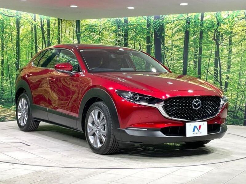 CX-30