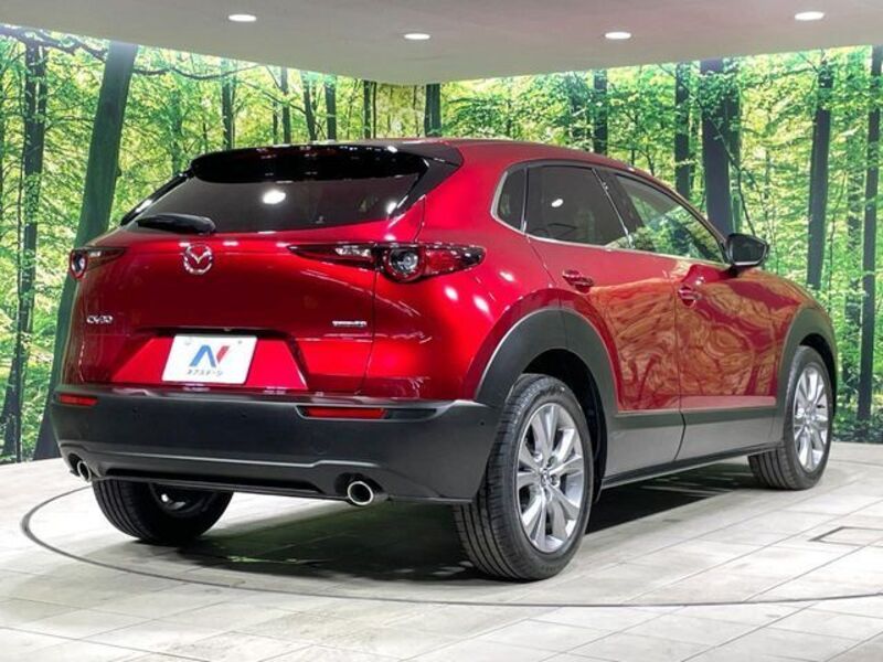 CX-30