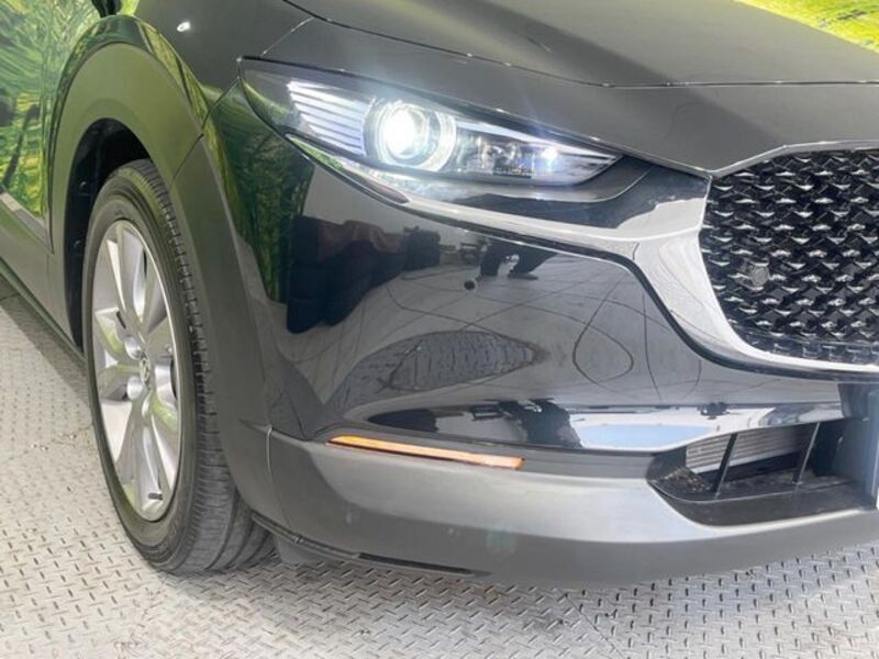 CX-30