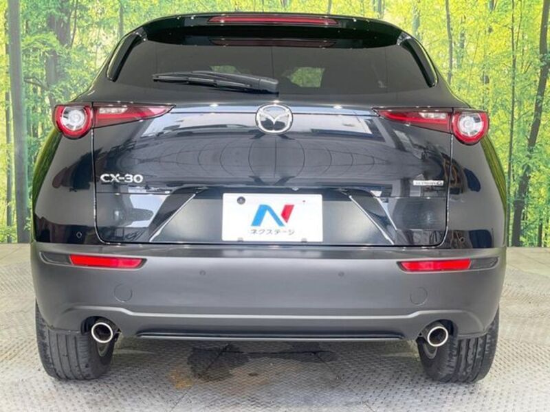 CX-30