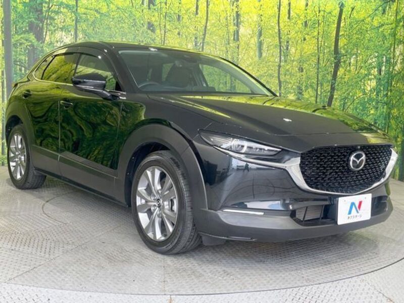 CX-30