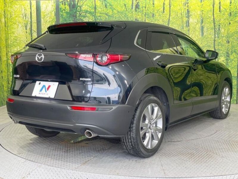 CX-30