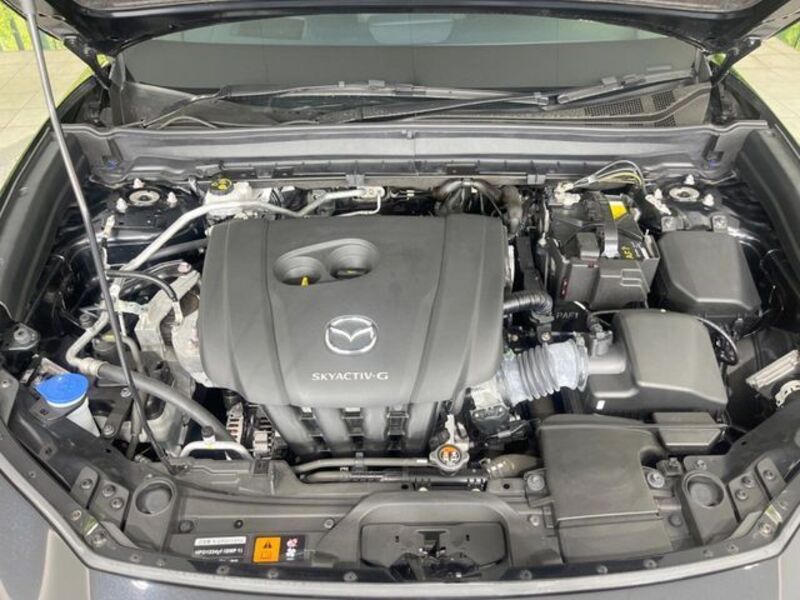 CX-30