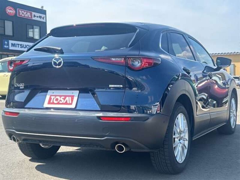 CX-30