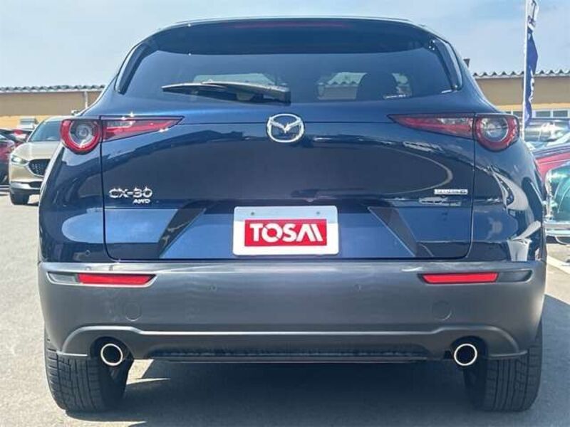 CX-30