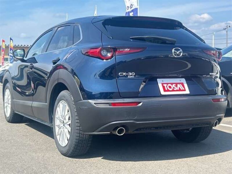 CX-30