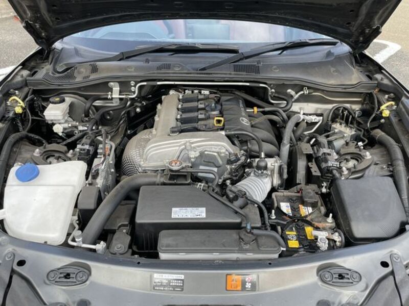 ROADSTER RF