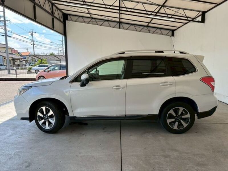 FORESTER