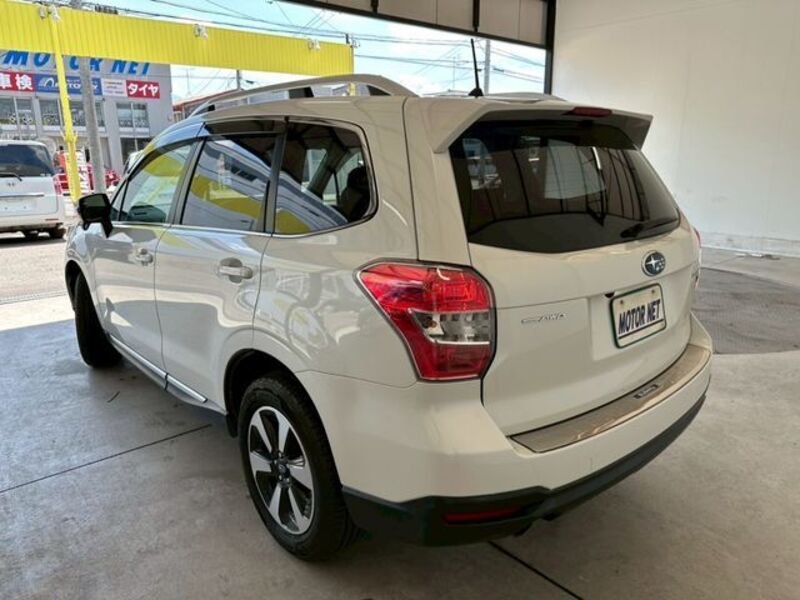 FORESTER