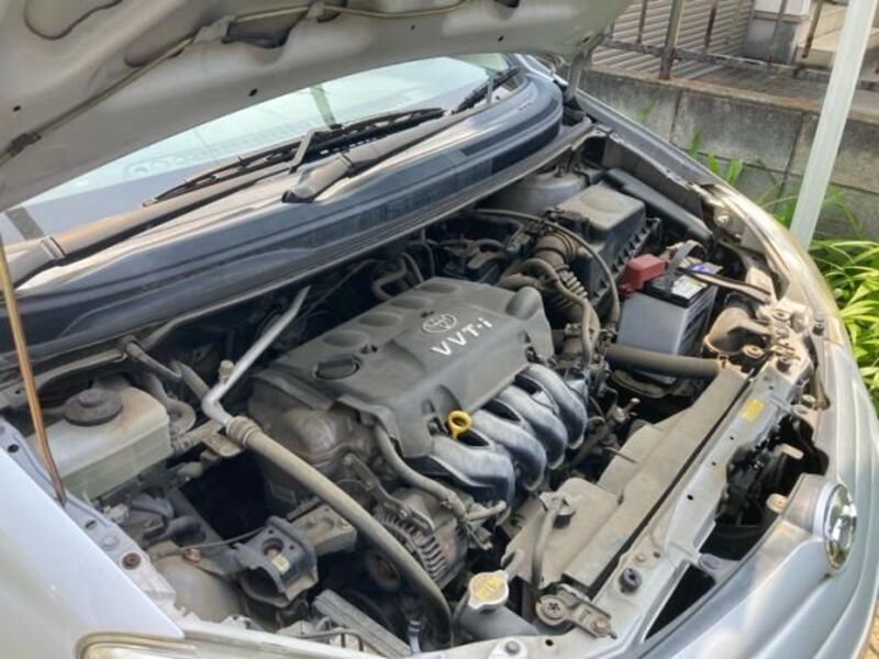 COROLLA SPACIO