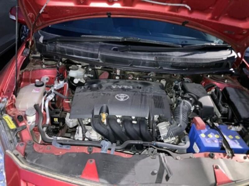 AURIS