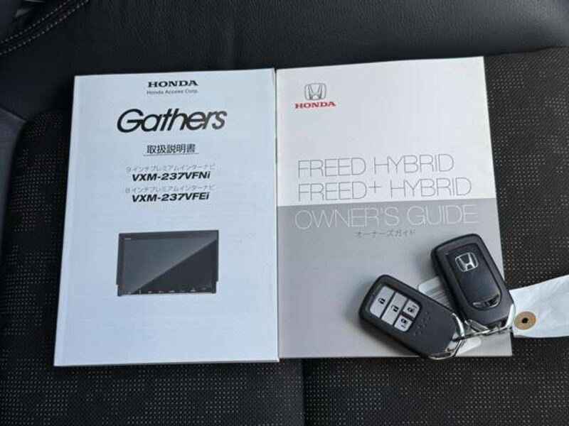 FREED+
