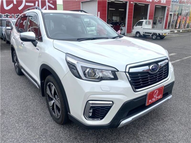 FORESTER-0