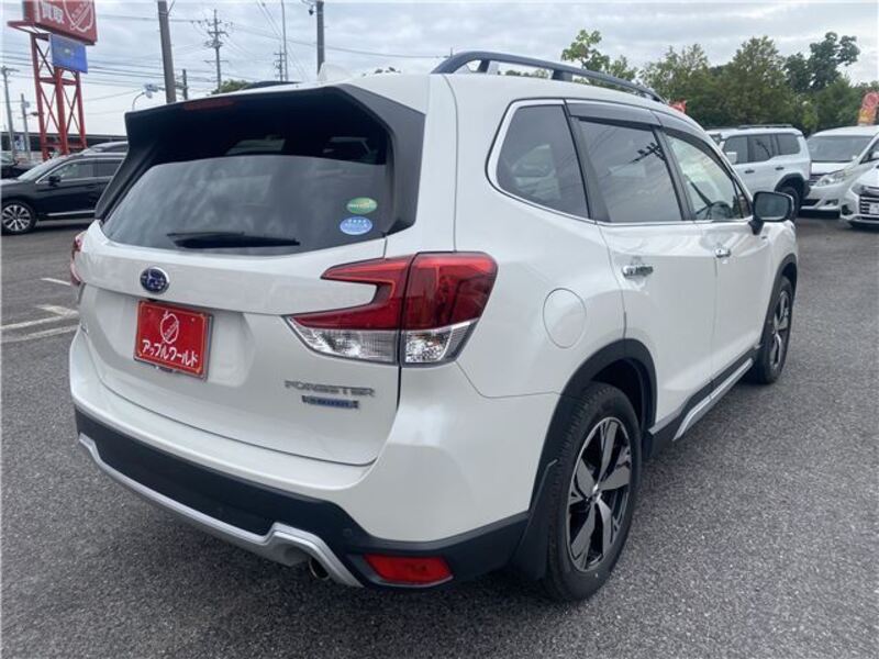 FORESTER