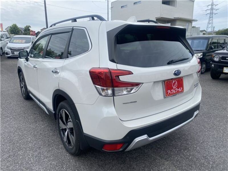 FORESTER