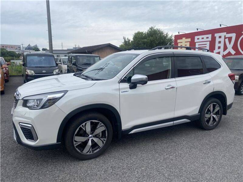 FORESTER