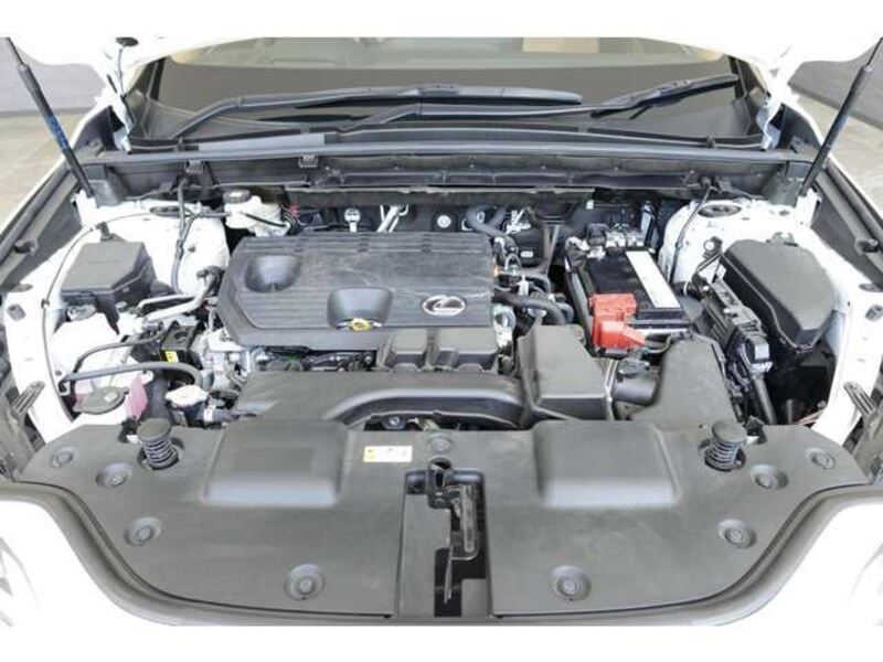 NX