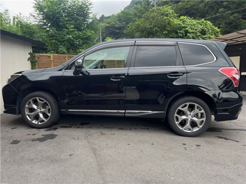FORESTER