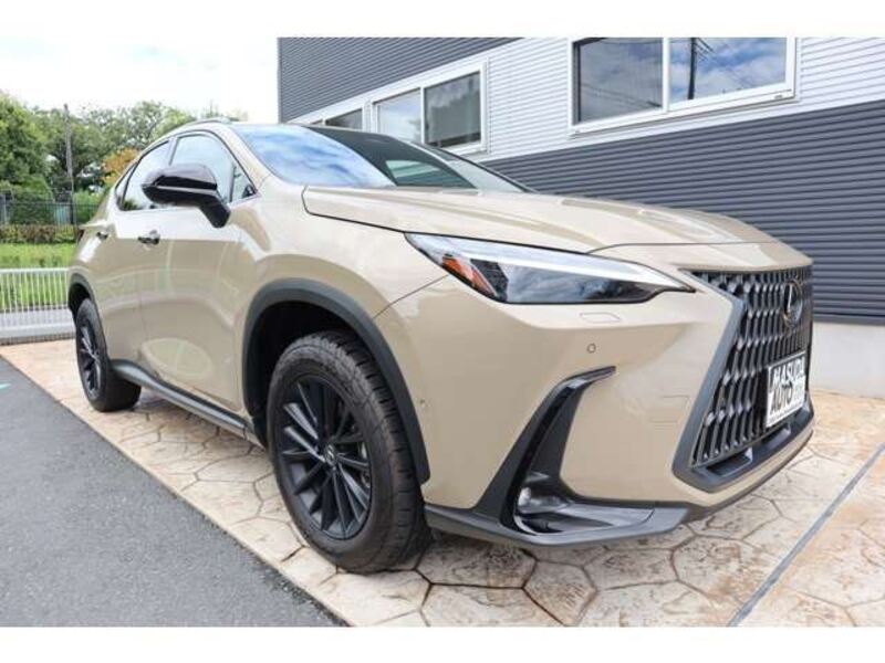 NX