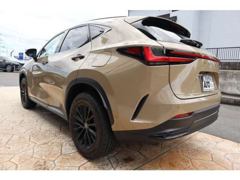 NX
