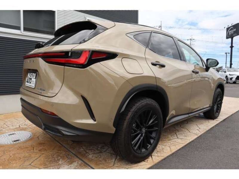 NX