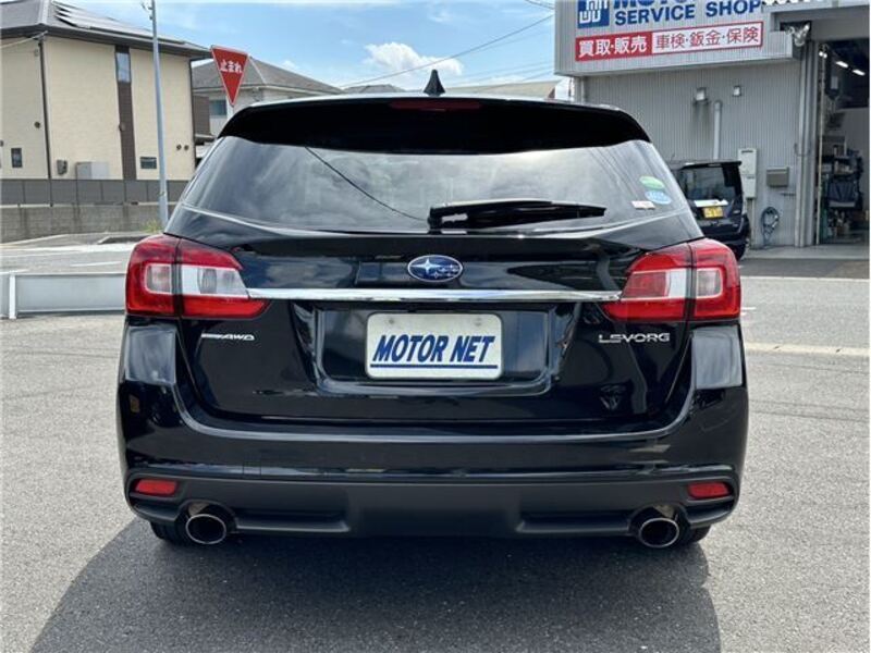 LEVORG