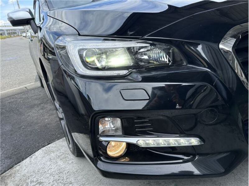 LEVORG