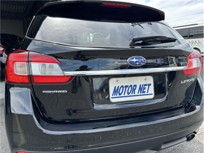 LEVORG