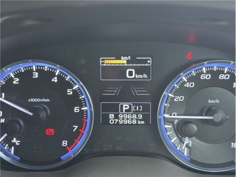 LEVORG