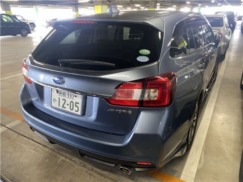 LEVORG
