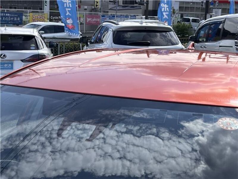 AURIS