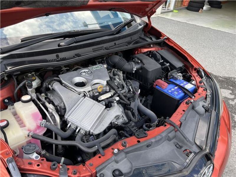 AURIS