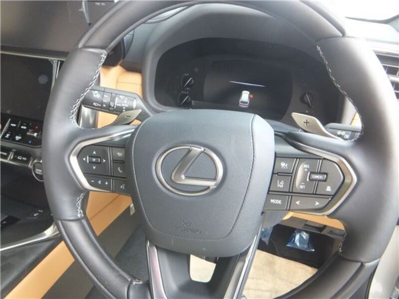 LX