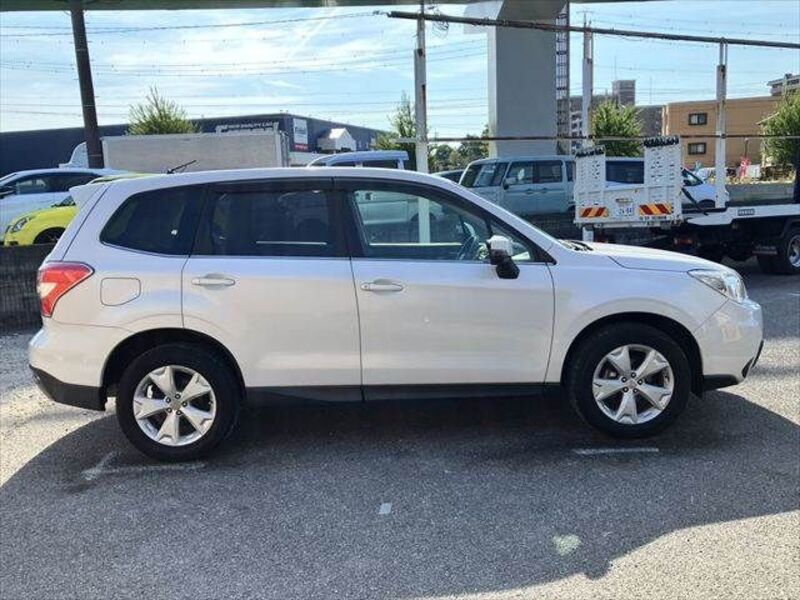 FORESTER